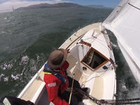 Artekno H-Boat Click to launch Larger Image