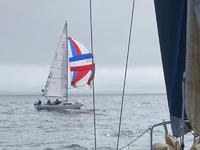 Artekno H-Boat Click to launch Larger Image