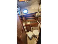 CSY 44 WO Click to launch Larger Image