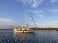 Bayfield 29 Click to launch Larger Image