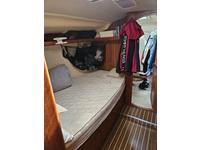 Hunter Aft Cockpit 41 Click to launch Larger Image