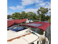 Nimble Kodiak Click to launch Larger Image