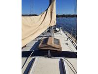 Tayana Tayana 37 Click to launch Larger Image