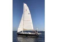 Freedom F 38 Click to launch Larger Image