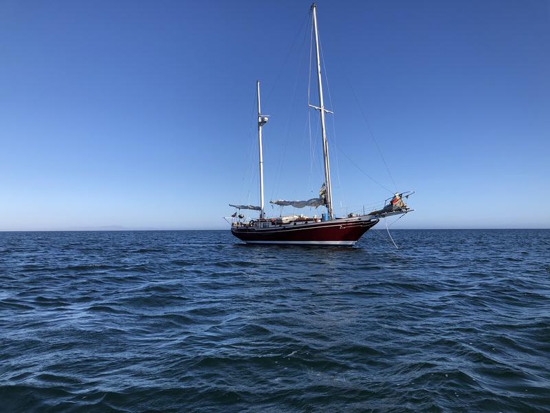 193 Hardin Sea Wolf located in Washington for sale