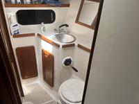 Caliber 40 Click to launch Larger Image