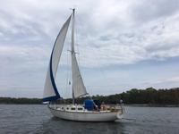 Tartan 34C Click to launch Larger Image