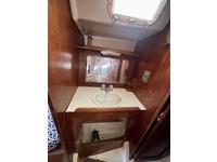 Hunter  Click to launch Larger Image