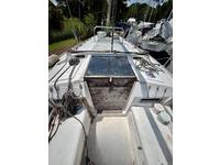 Hunter  Click to launch Larger Image