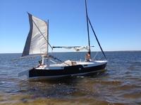 eddy and duff dovekie