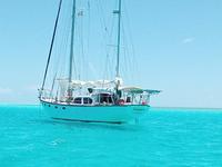 pearson countess Click to launch Larger Image