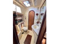 Hunter Vision 36 Click to launch Larger Image