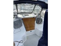 Catalina 309 Click to launch Larger Image