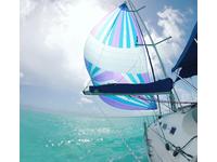 Beneteau 393 Click to launch Larger Image