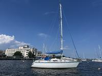 1985 Sheepshead Bay New York 31 Hunter 31