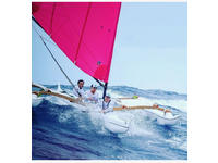 1995 South Carolina  Greenville South Carolina 30  Holopuni