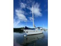 1989 Dominican Republic  45 Freedom 45 CC