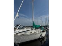 1985 Jacksonville Florida 34 Sabre 