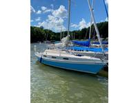 1980 Freedom Pennsylvania 25 Tanzer 7.5