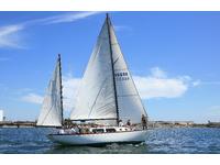 1967 San Diego California 37 Tartan 37 Blackwatch