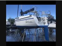2002 Coconut Grove Florida 25' Catalina 250