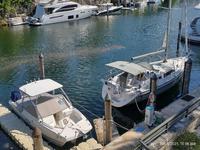 2019  Florida 35 Catalina 355