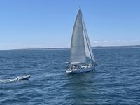 1979 Gloucester Massachusetts 44.5 Custom cruising cutter Morgan design Irwin built