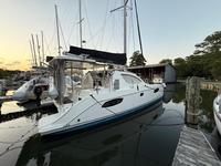 2010 Deltaville VA US  38 Leopard 38