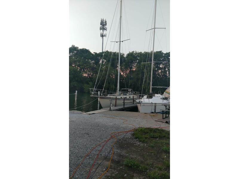 1981 Young Sun 35 located in Michigan for sale