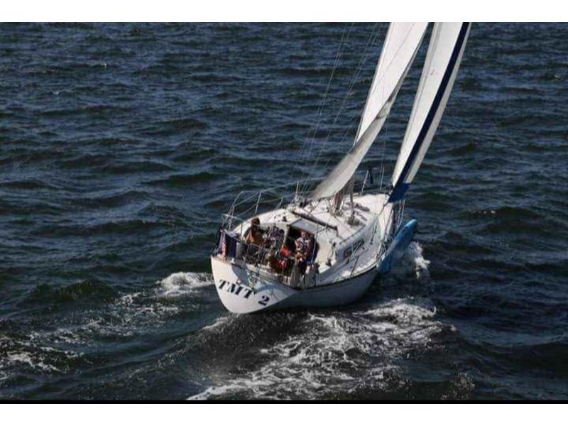 1981 C&C 34 located in New York for sale