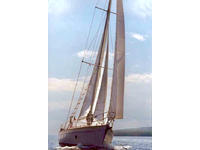 1977 Lewisporte Newfoundland Canada Outside United States 37 Rafiki Rafiki 37