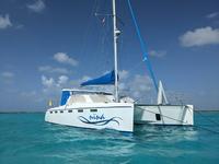 2010 antigua and barbuda  42 African Cats Fast Cat 435