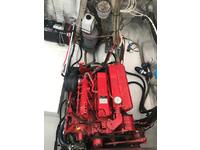 Amel Maramu Click to launch Larger Image