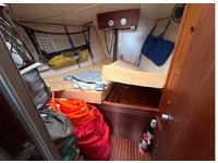 Langedrag Marin  Click to launch Larger Image