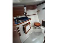 Tillotson Pearson Freedom 36 Click to launch Larger Image