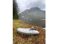 Tillotson Pearson Freedom 36 Click to launch Larger Image