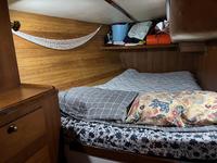 Tillotson Pearson Freedom 36 Click to launch Larger Image