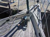 Young Sun 35 Click to launch Larger Image