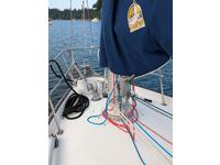 Nonsuch Classic Click to launch Larger Image