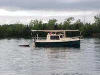 Nimble Kodiak Click to launch Larger Image