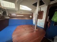 Hunter 336 Click to launch Larger Image