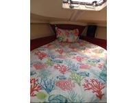 C&C 34 Click to launch Larger Image