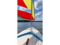 AMF Sunfish Click to launch Larger Image